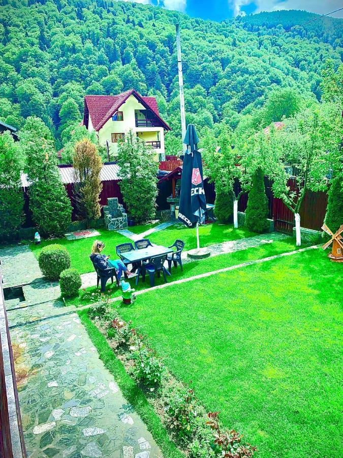 Готель Casa Ador Сіная Екстер'єр фото